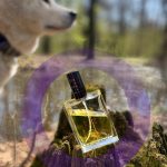 عطر ادکلن آرسو پروفیوم روم - Arso Profumum Roma - بررسی، قیمت و خرید