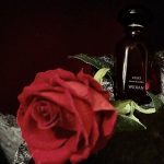 عطر ادکلن یاسات ویدیان - Yasat WIDIAN - بررسی، قیمت و خرید