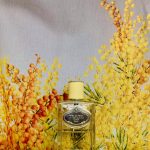 عطر ادکلن اینفیوژن د میموسا پرادا - Infusion de Mimosa Prada - بررسی، قیمت و خرید