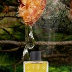 عطر ادکلن آرسو پروفیوم روم - Arso Profumum Roma - بررسی، قیمت و خرید