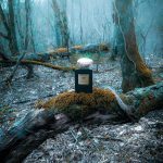 عطر ادکلن سبل نوئیت جیورجیو آرمانی - Sable Nuit Giorgio Armani - بررسی، قیمت و خرید