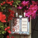 عطر ادکلن پیون پرینتمپس لانکوم - Pivoines Printemps Lancôme - بررسی، قیمت و خرید