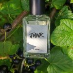 عطر ادکلن جانک لاش - Junk Lush - بررسی، قیمت و خرید