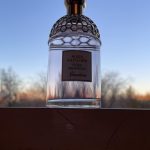 عطر ادکلن آکوا آلگوریا فلورا سلویاجیا گرلن - Aqua Allegoria Flora Salvaggia Guerlain - بررسی، قیمت و خرید