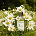 عطر ادکلن اینتیمت وایت فلاورز آنجل شلسر - Intimate White Flowers Angel Schlesser - بررسی، قیمت و خرید