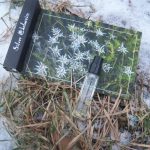 عطر ادکلن سیلور ایدلوایس اورا آو کازاکستان - Silver Edelweiss Aura of Kazakhstan - بررسی، قیمت و خرید