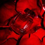 عطر ادکلن مایسا ژان لویی ورمی - Maïssa Jean Louis Vermeil - بررسی، قیمت و خرید