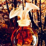 عطر ادکلن کلوئه کلوئه - Chloé (Parfums Chloé) Chloé - بررسی، قیمت و خرید
