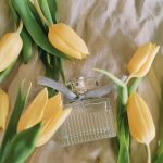 عطر ادکلن کلوئه او دو پارفوم ناتورل کلوئه - Chloé Eau de Parfum Naturelle Chloé - بررسی، قیمت و خرید