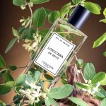 عطر ادکلن لونیسرا د نویی وسکانیان پرفیومز - Lonicera de Nuit Voskanian Parfums - بررسی، قیمت و خرید