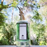 عطر ادکلن هارتلس هلن پنالیگنز - Heartless Helen Penhaligon's - بررسی، قیمت و خرید