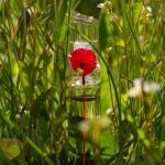 عطر ادکلن فلور بای کنزو پاپی بوکت او دو پرفیوم کنزو - Flower by Kenzo Poppy Bouquet Eau de Parfum Kenzo - بررسی، قیمت و خرید