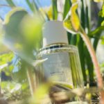 عطر ادکلن نرگس پوتیکوس کلوئه - Narcissus Poeticus Chloé - بررسی، قیمت و خرید