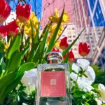عطر ادکلن رز بلش کلن جو ملون لندن - Rose Blush Cologne (2023) Jo Malone London - بررسی، قیمت و خرید