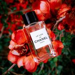 عطر ادکلن لی لیون او دو پرفیوم شانل - Le Lion Eau de Parfum Chanel - بررسی، قیمت و خرید