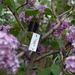 عطر ادکلن اسپرینگ اور د دنیپر چارزیلیا - Spring over the Dnieper / Весна над Дніпром Char-Zillya - بررسی، قیمت و خرید