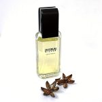 عطر ادکلن کوروم سیلور آنتونیو پویگ - Quorum Silver Antonio Puig - بررسی، قیمت و خرید