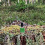 عطر ادکلن چهار و بیست بعد از ظهر لاش - 4.20 PM Lush - بررسی، قیمت و خرید