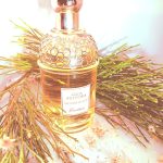 عطر ادکلن آکوا آلگوریا نتاره دی سول گرلن - Aqua Allegoria Nettare di Sole Guerlain - بررسی، قیمت و خرید