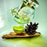 عطر ادکلن ونیتاس ورساچه - Vanitas Versace - بررسی، قیمت و خرید