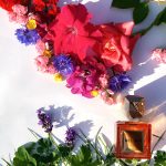 عطر ادکلن بِل اَر مولینارد - Bel Air Molinard - بررسی، قیمت و خرید