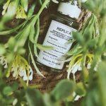 عطر ادکلن فرام د گاردن مایزون مارتین مارژیلا - From the Garden Maison Martin Margiela - بررسی، قیمت و خرید