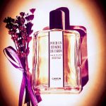 عطر ادکلن پور اوم دو کارون کارون - Pour Un Homme de Caron Caron - بررسی، قیمت و خرید