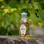عطر ادکلن لیپُوی چِوِت ای فلُکسی بروکارد - Липовый Цвет и Флоксы - Linden Blossom and Phlox Brocard - بررسی، قیمت و خرید