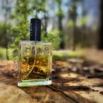 عطر ادکلن آرسو پروفیوم روم - Arso Profumum Roma - بررسی، قیمت و خرید