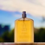 عطر ادکلن ازارو پور هوم لو آزارو - Azzaro Pour Homme L'Eau Azzaro - بررسی، قیمت و خرید