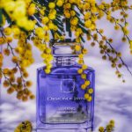 عطر ادکلن مونتاباکو ورانو اورمونده جین - Montabaco Verano Ormonde Jayne - بررسی، قیمت و خرید