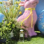 عطر ادکلن آیریس میدو اِرین - Iris Meadow Aerin - بررسی، قیمت و خرید