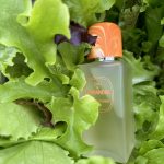 عطر ادکلن اودو کوریاندر ژان کوتوریر - Eau de Coriandre Jean Couturier - بررسی، قیمت و خرید
