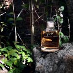 عطر ادکلن بوتگا ونتا پارفوم بوتگا ونتا - Bottega Veneta Parfum Bottega Veneta - بررسی، قیمت و خرید