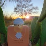 عطر ادکلن لاو دیلایت آموآژ - Love Delight Amouage - بررسی، قیمت و خرید