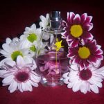 عطر ادکلن لایف سیرکل بلوسام اوریف‌لیم - Life Circle Blossom Oriflame - بررسی، قیمت و خرید