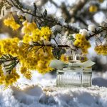 عطر ادکلن کلوئه او دو پارفوم ناتورل کلوئه - Chloé Eau de Parfum Naturelle Chloé - بررسی، قیمت و خرید