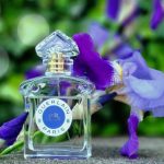 عطر ادکلن آپره لونده او دو تویلت گرلن - Après L'Ondée Eau de Toilette Guerlain - بررسی، قیمت و خرید
