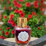 عطر ادکلن نرولی بلانک اینتنس ادو پرفیوم او پی د فلور دورانژه - Neroli blanc Intense Eau de Parfum Au Pays de la Fleur d’Oranger - بررسی، قیمت و خرید