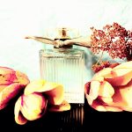 عطر ادکلن کلوئه او دو پارفوم ناتورل کلوئه - Chloé Eau de Parfum Naturelle Chloé - بررسی، قیمت و خرید