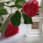 عطر ادکلن وایت رز ماجوری - White Rose Majouri - بررسی، قیمت و خرید