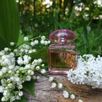 عطر ادکلن مای سنت ترساردی - My Scent Trussardi - بررسی، قیمت و خرید