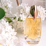 عطر ادکلن اِیلیِن اٌ اُکسترااُردینِر موگلر - Alien Eau Extraordinaire Mugler - بررسی، قیمت و خرید