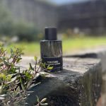 عطر ادکلن اُو د اُمبره لدر تام فورد - Eau d'Ombré Leather Tom Ford - بررسی، قیمت و خرید