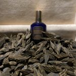 عطر ادکلن دی‌ووشن هاوس آو ماتریارک - Devotion House of Matriarch - بررسی، قیمت و خرید