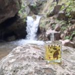 عطر ادکلن مولکول ۰۱ + ماندارین اسنتریک مولکولز - Molecule 01 + Mandarin Escentric Molecules - بررسی، قیمت و خرید