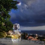 عطر ادکلن فاتال ایجنت پروواکتر - Fatale Agent Provocateur - بررسی، قیمت و خرید