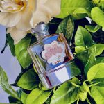 عطر ادکلن آناهیس آناهیس پرفیوم کنسانتره کاچارل - Anais Anais Parfum Concentree Cacharel - بررسی، قیمت و خرید