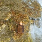 عطر ادکلن این سولی موآ گز بیجو - Ensoleille Moi Gas Bijoux - بررسی، قیمت و خرید