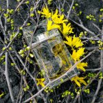 عطر ادکلن دیور هوم اورژینال دیور - Dior Homme Original Dior - بررسی، قیمت و خرید